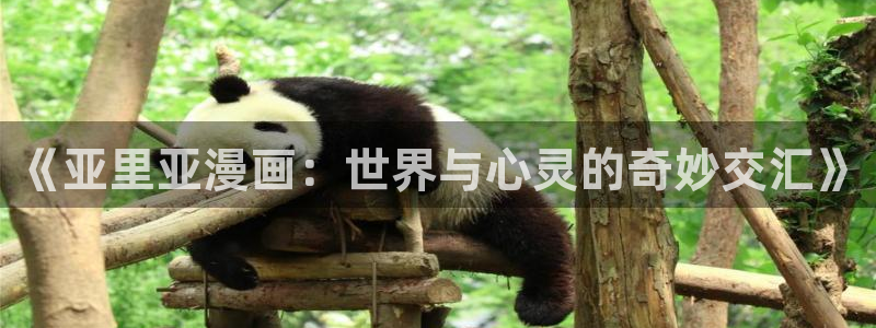 耽漫网站